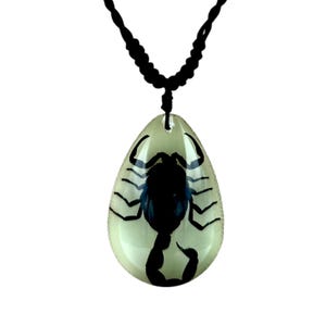 Glows in the Dark Black Scorpion Necklace 1.8x1.4x0.6 in image 4