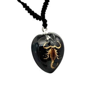Scorpion Necklace 0.9x0.6x0.4 in image 4