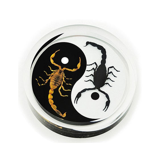 Scorpion Yin Yang Paperweight | Etsy