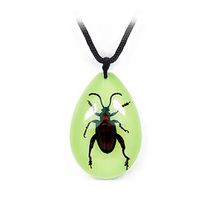 Glows in the Dark Jewel  Frog  Beetle Necklace  1.8x1.4x0.6 in