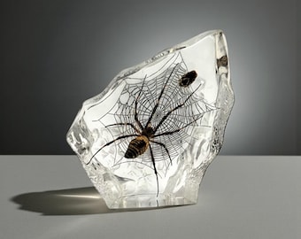 Real Spider in Resin with Web – Encased Arachnid Specimen – Gothic Oddities Decor