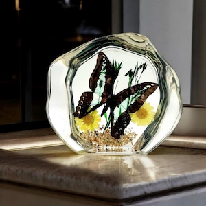 Blue Butterfly Paperweight Desk Decor, Clear Resin Art, Real Butterfly & Flowers, Gifts for Her, Mother&#39;s Day, Room Decor, Housewarming