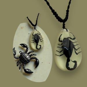 Glows in the Dark Black Scorpion Necklace 1.8x1.4x0.6 in image 6