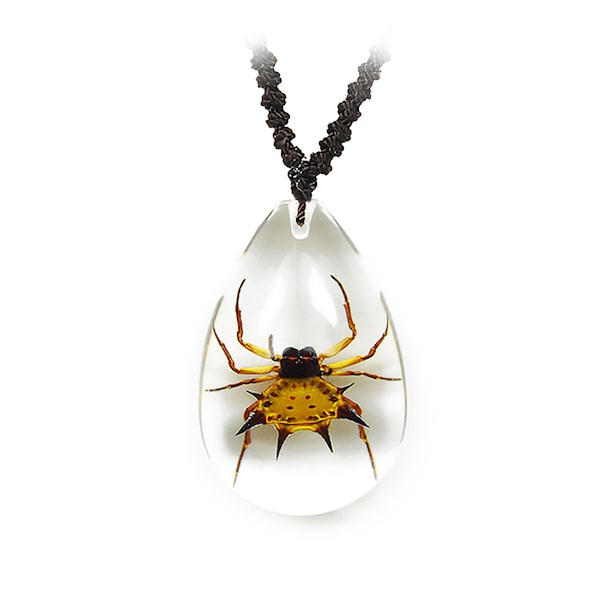 Spiny Spider Necklace   1x0.8x0.4 in