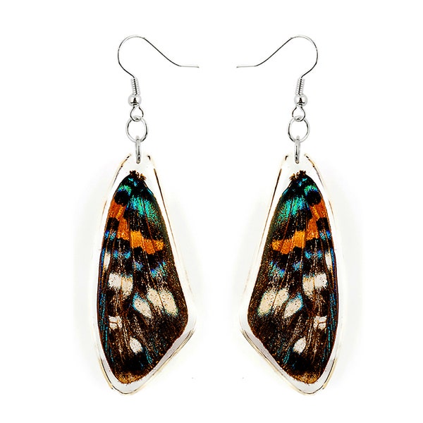 Real Teal & Orange Butterfly Wing Earrings, Clear Resin Art, Colorful Nature Jewelry, Gifts for Her, Mother's Day Gifts, Bold Earrings,