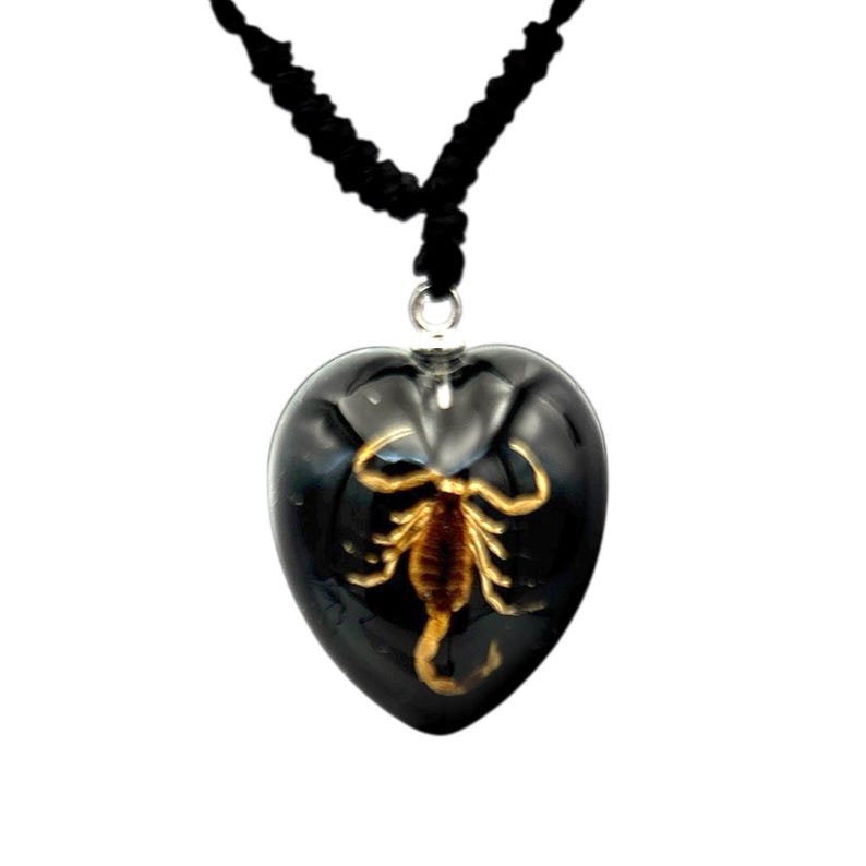 Scorpion Necklace 0.9x0.6x0.4 in image 5
