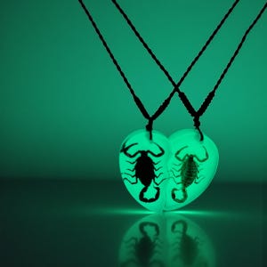 Glow in the Dark Scorpion Necklace, Split Heart Pendant, Matching Couple Necklace, Real Scorpion Resin Jewelry