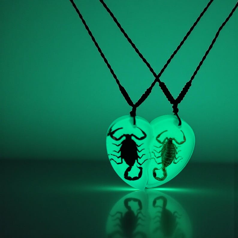 Glow in the Dark Scorpion Necklace, Split Heart Pendant, Matching Couple Necklace, Real Scorpion Resin Jewelry