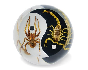 Yellow Animal Embedded Specimen Scorpion Creative Paperweight Collectibles 