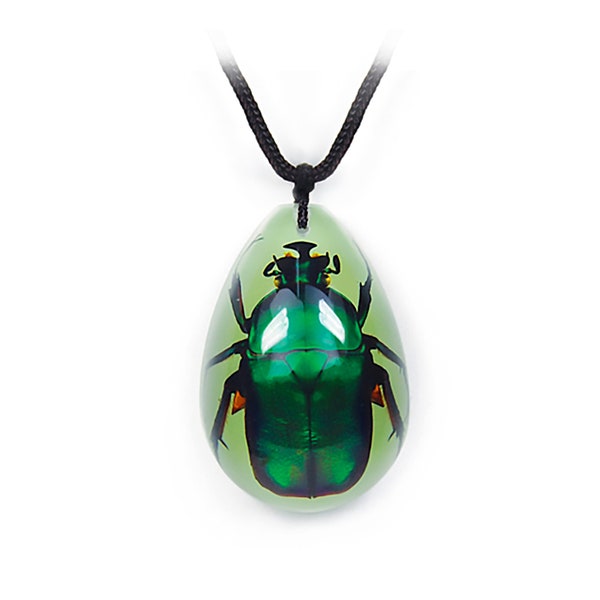 Green Rose Chafer Beetle Necklace  1.8x1.4x0.6 in