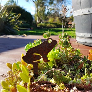 May include: A weathered metal frog garden ornament is positioned amongst a variety of succulents. The frog is a simple outline with a large eye. The planter features green and orange succulents. A wooden barrel is in the background.