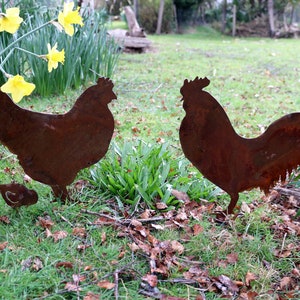 Puede incluir: Siluetas de metal envejecido de gallo, gallina y polluelos en un jardín cubierto de hierba. Los recortes de metal marrón se colocan entre hierba verde, hojas caídas y narcisos amarillos. Decoración rústica para jardín.