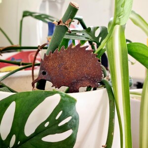 Miniature Australian-made corten (rusty) echidna pot plant stake.