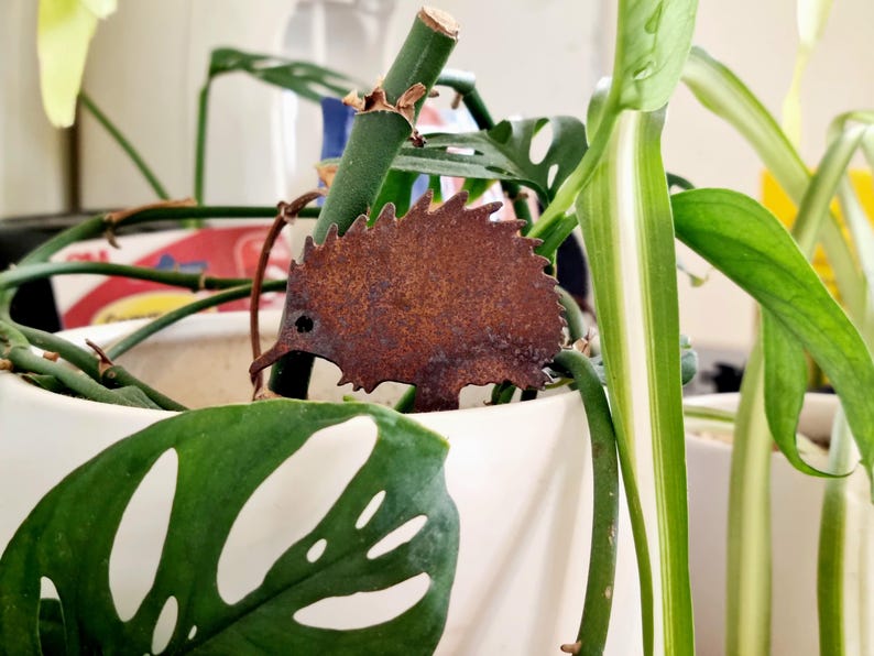 Miniature Australian-made corten (rusty) echidna pot plant stake.