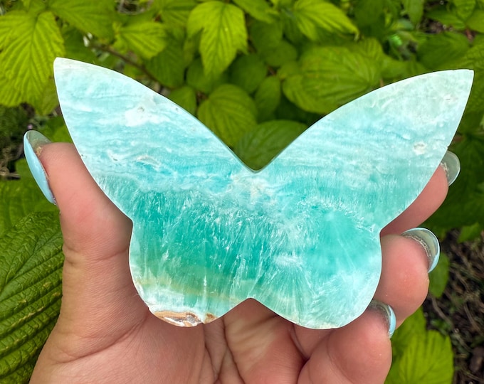 Blue aragonite Crystal Butterfly - Home Decoration | Healing Crystal Decor