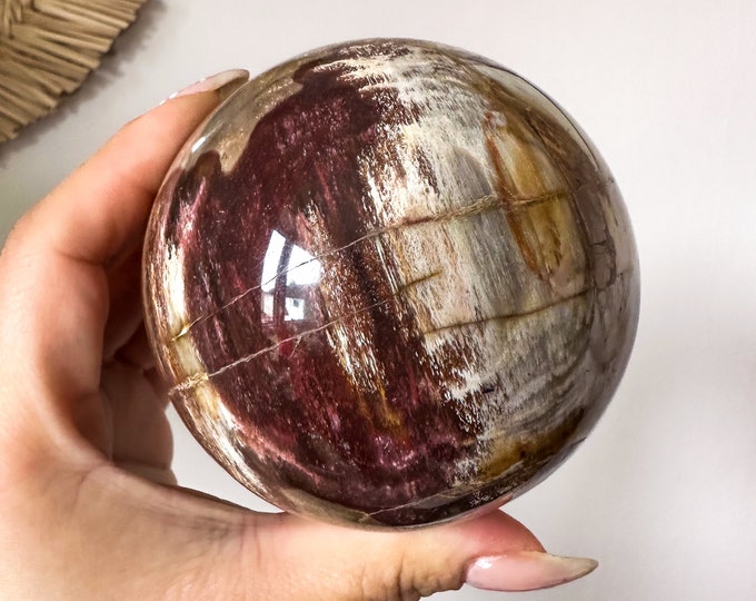 Petrified wood crystal sphere healing crystal home decor