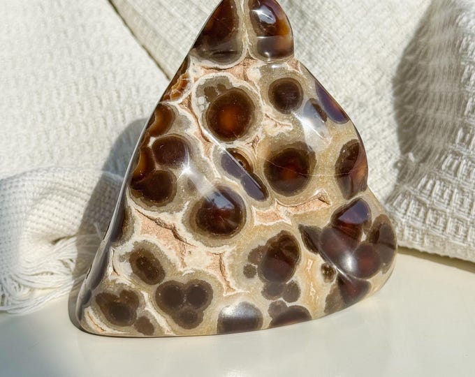 Rare Orbicular Chocolate Calcite Freeform – Grounding Crystal for Emotional Healing & Home Decor