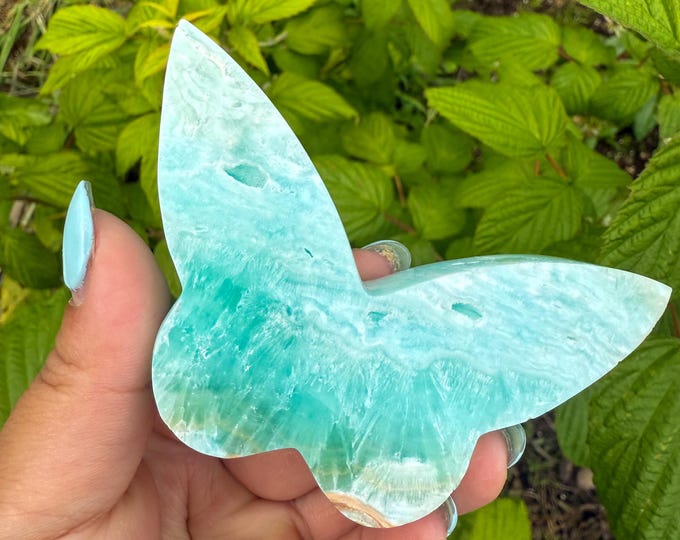 Blue aragonite Crystal Butterfly - Home Decoration | Healing Crystal Decor
