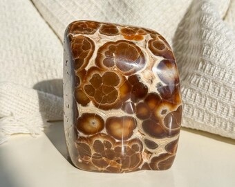 Rare Orbicular Chocolate Calcite Freeform – Grounding Crystal for Emotional Healing & Home Decor