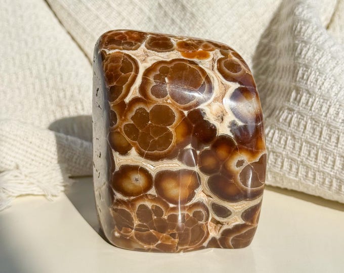 Rare Orbicular Chocolate Calcite Freeform – Grounding Crystal for Emotional Healing & Home Decor