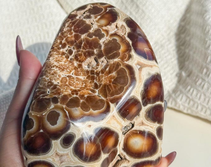 Rare Orbicular Chocolate Calcite Freeform – Grounding Crystal for Emotional Healing & Home Decor