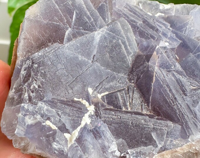 Rare Indigo fluorite premium fluorite specimen ( Pakistan, Baluchistan province, lorlai district ) crystal mineral specimen