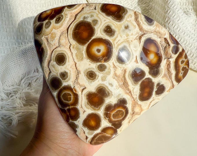 Rare Orbicular Chocolate Calcite Freeform – Grounding Crystal for Emotional Healing & Home Decor