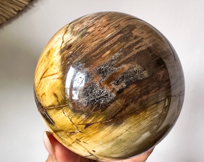 DRUZY Petrified wood crystal sphere healing crystal home decor