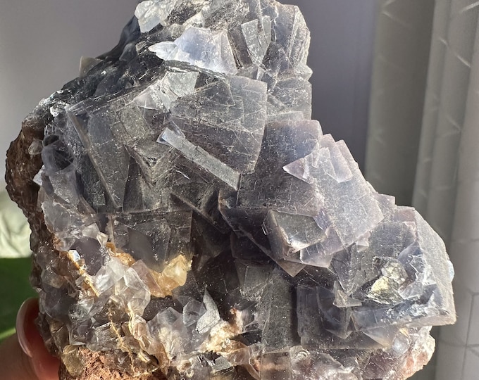 Rare Indigo fluorite premium fluorite specimen ( Pakistan, Baluchistan province, lorlai district ) crystal mineral specimen