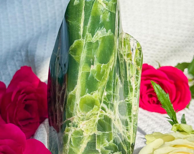 Premium Large Tremolite freeform healing crystal healing journey home decoration