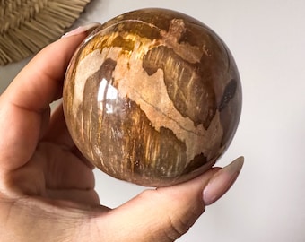 Petrified wood crystal sphere healing crystal home decor