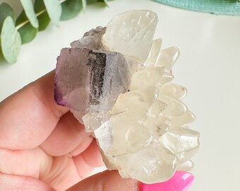 Rare fluorite on quartz premium fluorite specimen ( Pakistan, Baluchistan province, lorlai district ) crystal mineral specimen