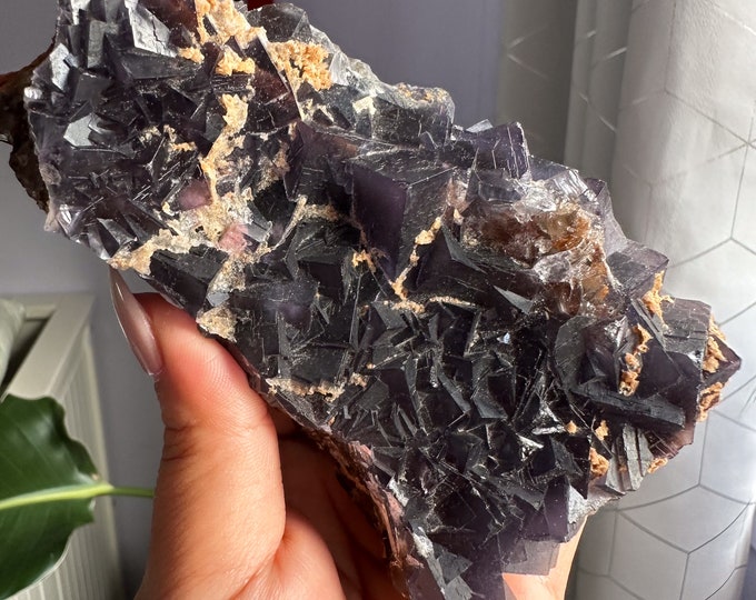 Rare Indigo fluorite premium fluorite specimen ( Pakistan, Baluchistan province, lorlai district ) crystal mineral specimen
