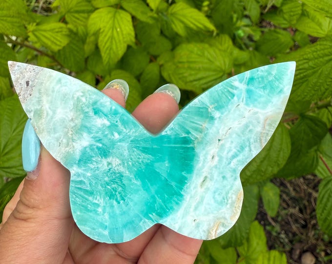 Blue aragonite Crystal Butterfly - Home Decoration | Healing Crystal Decor