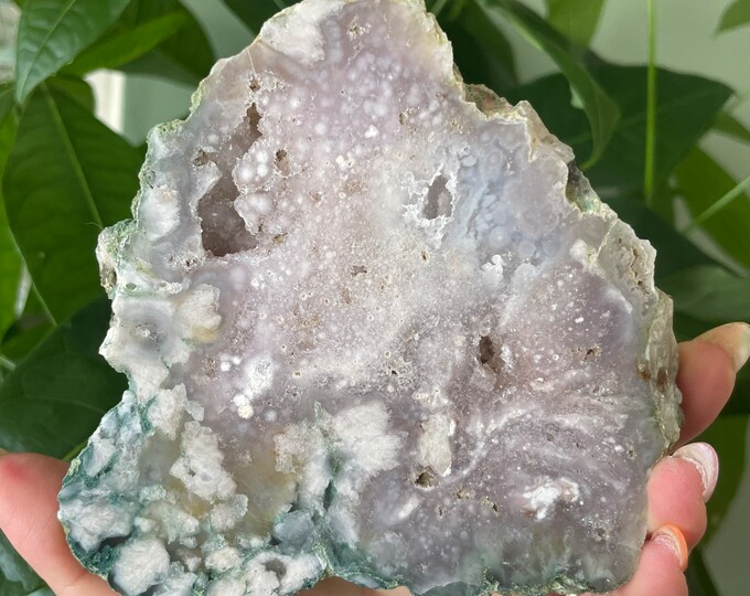 Rare flower agate crystal |cherry blossom agate home decoration | flower agate specimen | healing crystal | birthday gift|anniversary gift