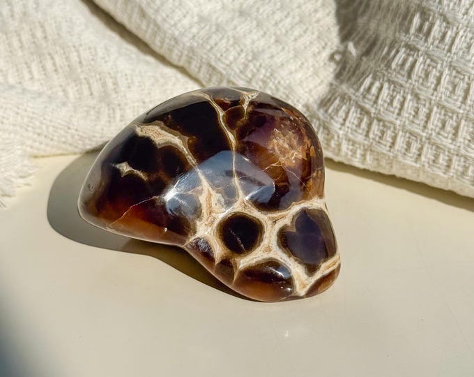 Rare Orbicular Chocolate Calcite Freeform – Grounding Crystal for Emotional Healing & Home Decor