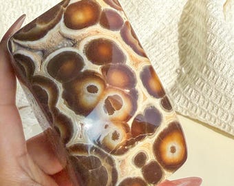 Rare Orbicular Chocolate Calcite Freeform – Grounding Crystal for Emotional Healing & Home Decor