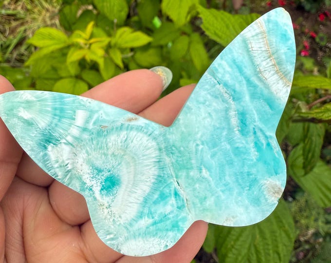 Blue aragonite Crystal Butterfly - Home Decoration | Healing Crystal Decor