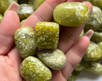 Serpentine polished Tumblestone Healing Crystals