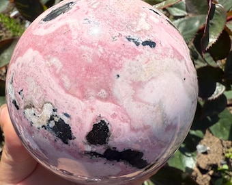 May include: A polished sphere of rhodochrosite, showcasing a blend of pink and white hues with black inclusions. The gemstone ball is smooth and round, with a marbled appearance. The sphere is held in a hand, with green foliage in the background.