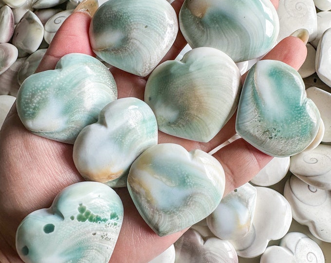 Natural Shiva Shell Heart | Small Heart gift with love and beautiful energy