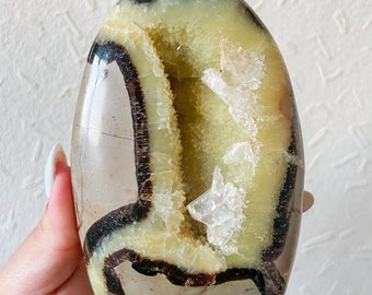Septarian with clear calcite crystal Freeform healing crystal home decor