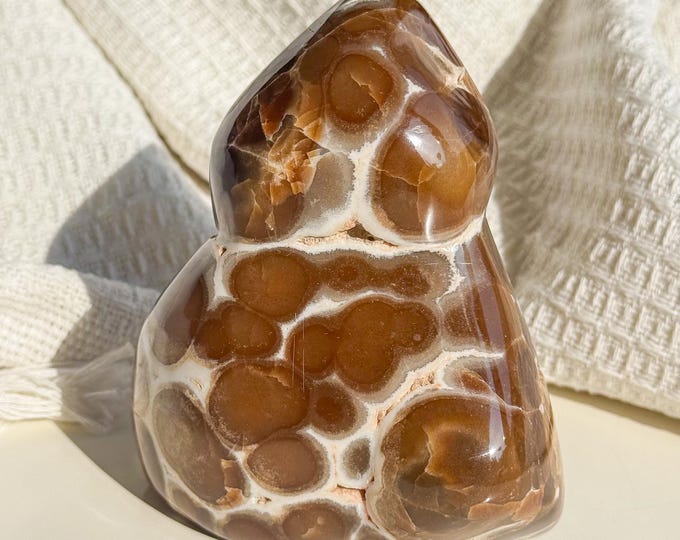 Rare Orbicular Chocolate Calcite Freeform – Grounding Crystal for Emotional Healing & Home Decor