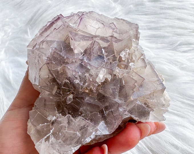 Rare Indigo fluorite premium fluorite specimen ( Pakistan, Baluchistan province, lorlai district ) crystal mineral specimen