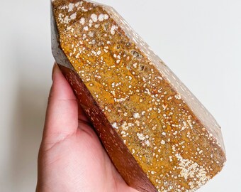 ocean Jasper crystal Tower healing crystal home decor