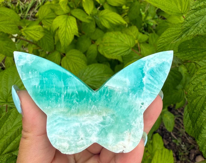 Blue aragonite Crystal Butterfly - Home Decoration | Healing Crystal Decor