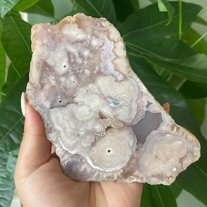Rare flower agate crystal |cherry blossom agate home decoration | flower agate specimen | healing crystal | birthday gift|anniversary gift