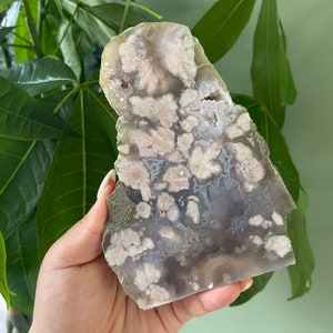 Rare flower agate crystal |cherry blossom agate home decoration | flower agate specimen | healing crystal | birthday gift|anniversary gift