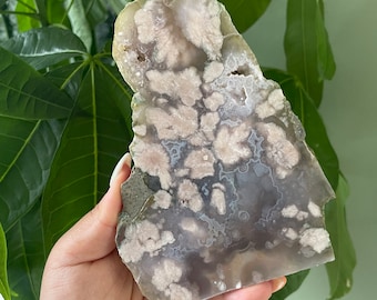 Rare flower agate crystal |cherry blossom agate home decoration | flower agate specimen | healing crystal | birthday gift|anniversary gift