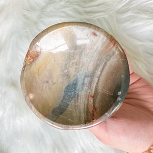 May include: A round, shallow dish made of polished petrified wood. The dish has a natural, swirling pattern of brown, gray, and white colors.